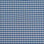 293 - CUADRO AZULINA