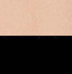 110001 - BEIGE/NEGRO