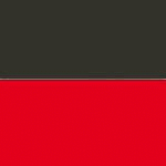 149105 - VERDE CAQUIROJO