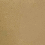 597 - SARGA POL. ARENA